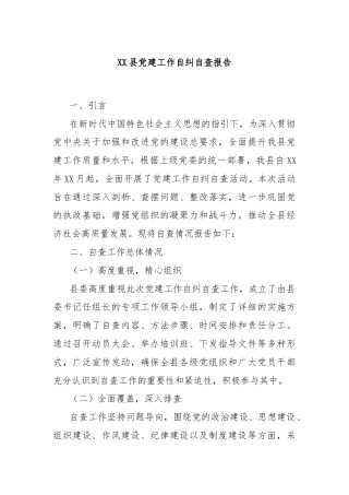 XX县党建工作自纠自查报告