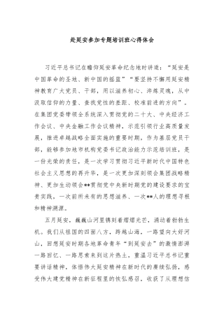 赴延安参加专题培训班心得体会