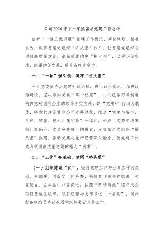 公司2024年上半年抓基层党建工作总结