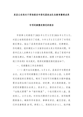 某县公安局关于贯彻落实市委巩固政法队伍教育整顿成果专项巡察整改情况的报告