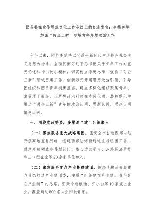 团县委在宣传思想文化工作会议上的交流发言：多措并举加强“两企三新”领域青年思想政治工作