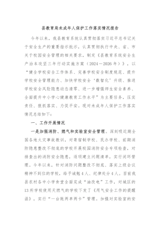 县教育局未成年人保护工作落实情况报告