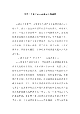 学习二十届三中全会精神心得感悟