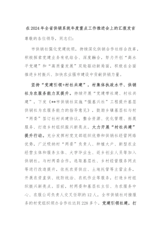在2024年全省供销系统年度重点工作推进会上的汇报发言