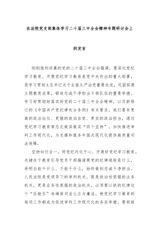 在法院党支部集体学习二十届三中全会精神专题研讨会上的发言