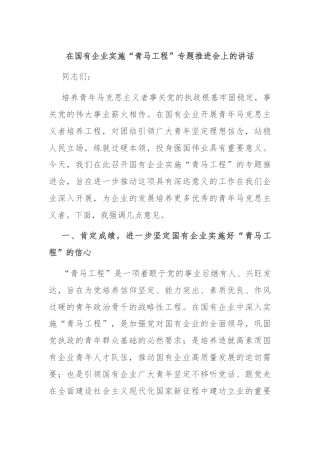 在国有企业实施“青马工程”专题推进会上的讲话