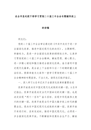 在全市县处级干部学习贯彻二十届三中全会专题辅导班上的讲稿