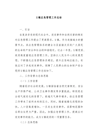 X镇应急管理工作总结