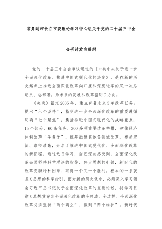 常务副市长在市委理论学习中心组关于党的二十届三中全会研讨发言提纲