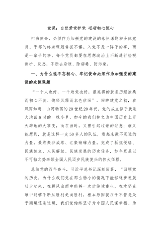 党课：自觉爱党护党 砥砺初心恒心