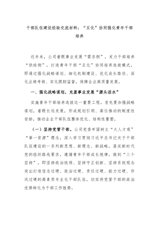 干部队伍建设经验交流材料：“五化”协同强化青年干部培