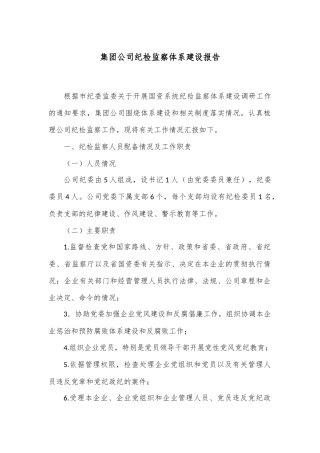 集团公司纪检监察体系建设报告