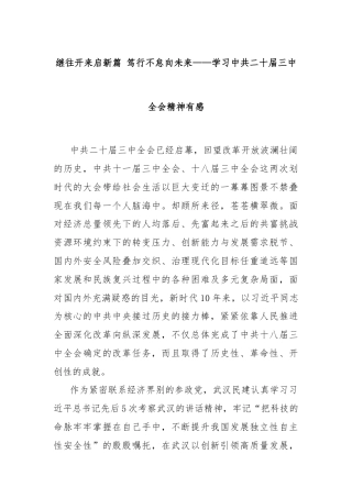 继往开来启新篇 笃行不怠向未来——学习中共二十届三中全会精神有感