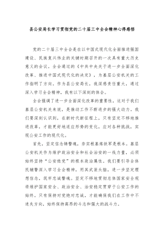 县公安局长学习贯彻党的二十届三中全会精神心得感悟