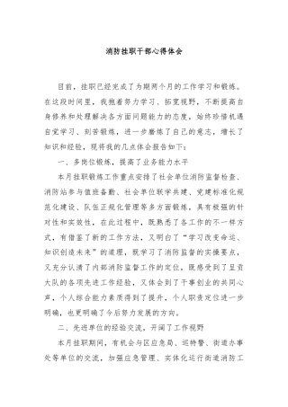 消防挂职干部心得体会