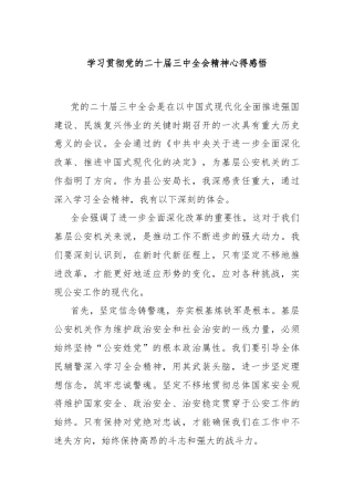学习贯彻党的二十届三中全会精神心得感悟