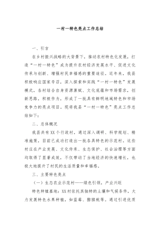 一村一特色亮点工作总结