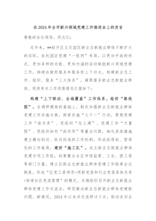 在2024年全市新兴领域党建工作推进会上的发言
