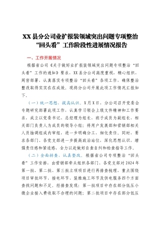 XX县分公司业扩报装领域突出问题专项整治“回头看”工作阶段性进展情况报告