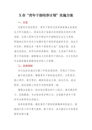 X市“青年干部培养计划”实施方案