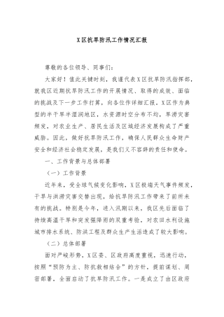 X区抗旱防汛工作情况汇报