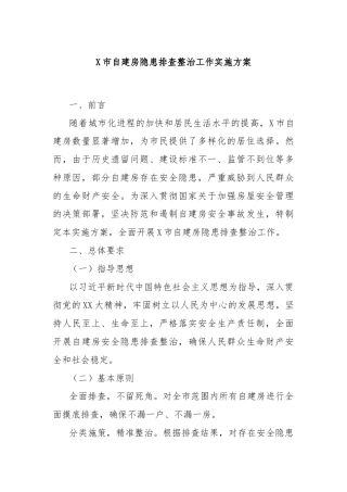 X市自建房隐患排查整治工作实施方案