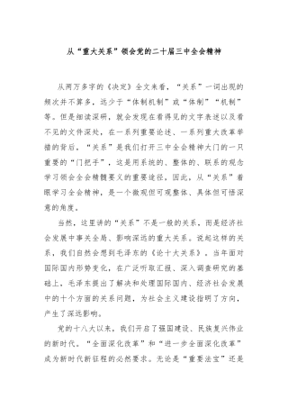 从“重大关系”领会党的二十届三中全会精神