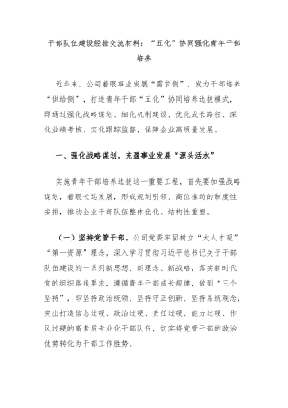 干部队伍建设经验交流材料：“五化”协同强化青年干部培养