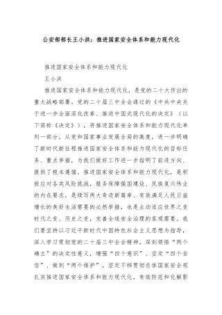公安部部长王小洪：推进国家安全体系和能力现代化