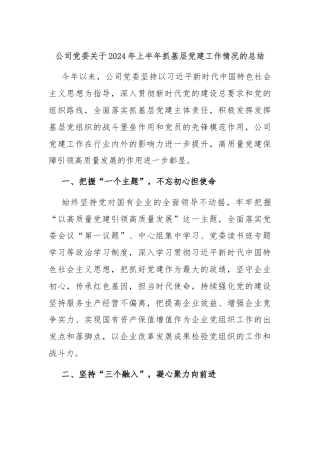 公司党委关于2024年上半年抓基层党建工作情况的总结