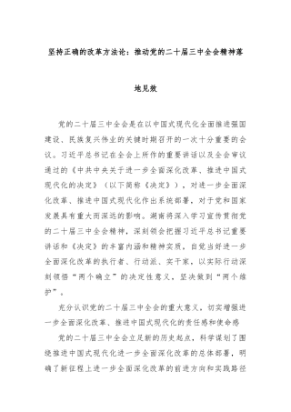 坚持正确的改革方法论：推动党的二十届三中全会精神落地见效
