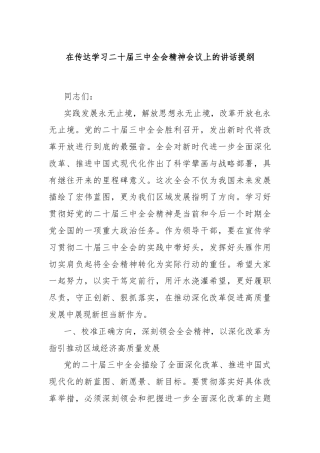在传达学习二十届三中全会精神会议上的讲话提纲