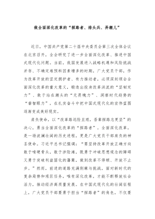 做全面深化改革的“探路者、排头兵、弄潮儿”
