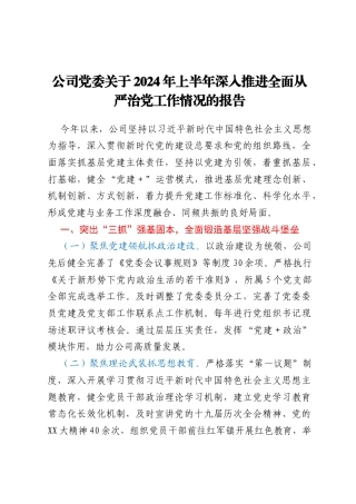 公司党委关于2024年上半年深入推进全面从严治党工作情况的报告