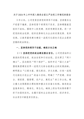 关于2024年上半年深入推进全面从严治党工作情况的报告