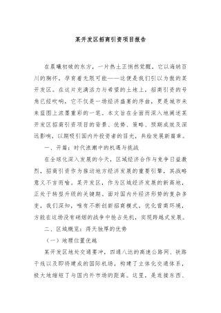某开发区招商引资项目报告