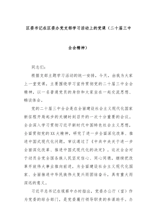 区委书记在区委办党支部学习活动上的党课（二十届三中全会精神）