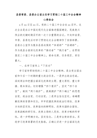 县委常委、县委办公室主任学习贯彻二十届三中全会精神心得体会