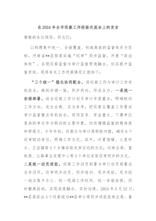 在2024年全市巡察工作经验交流会上的发言