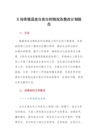 X局常规巡查自查自纠情况及整改计划报告