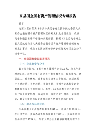 X县国企国有资产管理情况专项报告