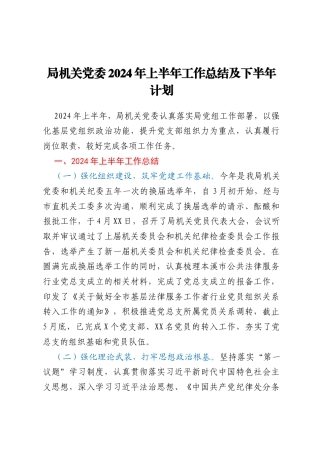 局机关党委2024年上半年工作总结 及下半年计划
