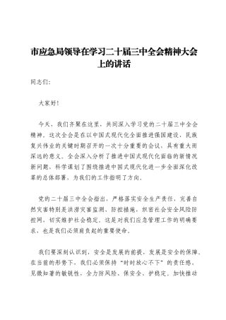 市应急局领导在学习二十届三中全会精神大会上的讲话