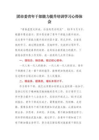 团市委青年干部能力提升培训学习心得体会