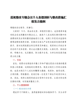 巡视整改专题会议个人查摆剖析与整改措施汇报发言提纲