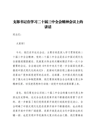 支部书记在学习二十届三中全会精神会议上的讲话
