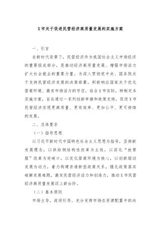 X市关于促进民营经济高质量发展的实施方案