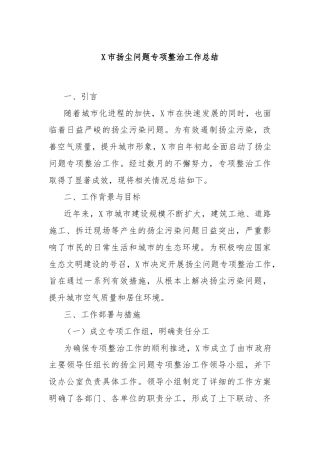 X市扬尘问题专项整治工作总结