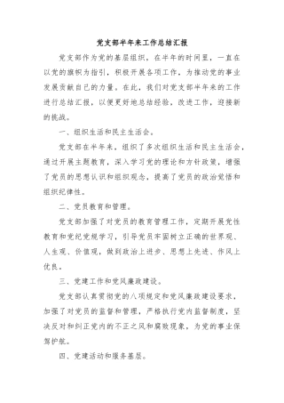 党支部半年来工作总结汇报