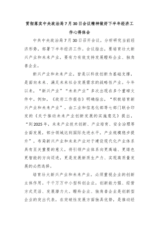 贯彻落实中央政治局7月30日会议精神做好下半年经济工作心得体会